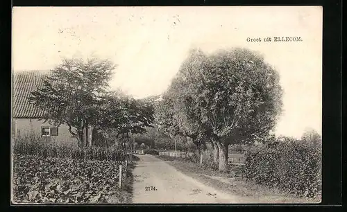 AK Ellecom, Dorpstraat