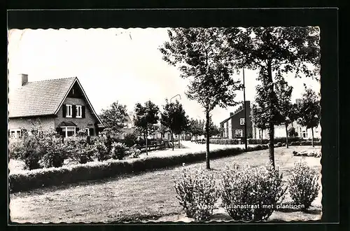 AK Waspik, Julianastraat met plantsoen