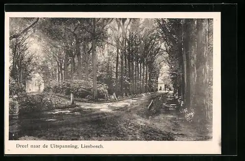 AK Liesbosch, Dreef naar de Uitspanning