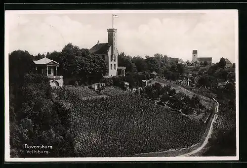 AK Ravensburg, Blick auf Weinberg