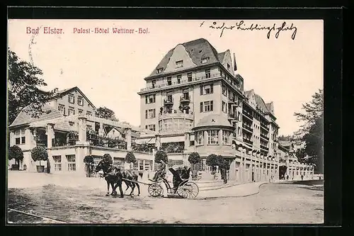 AK Bad Elster, Palast-Hôtel Wettiner-Hof und Pferdekutsche