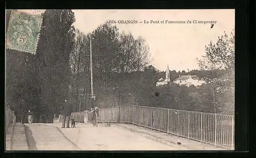 AK Ris-Orangis, Le Pont et Panorama de Champrosay