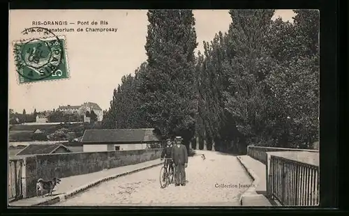 AK Ris-Orangis, Pont de Ris - Vue du Sanatorium de Champrosay