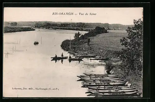 AK Ris-Orangis, Vue de Seine