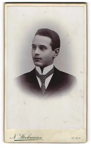 Fotografie N. Stockmann, Wien, Neugasse 57, Portrait charmanter junger Mann in Krawatte und Jackett