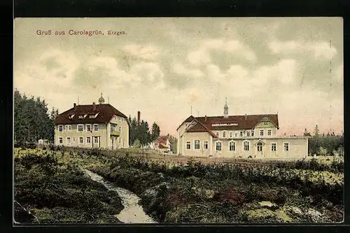 AK Carolagrün /Erzgeb., Ortspartie