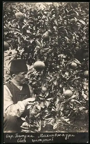 Fotografie Orangenbauer mit Fes während der Ernte