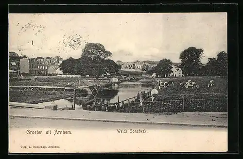 AK Arnhem, Weide Sonsbeek
