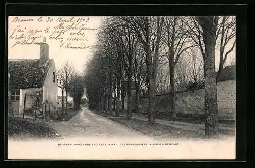 AK Beaune-la-Rolande, Mail des Marronniers -Ancien Rempart