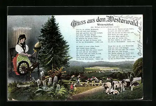 AK Westerwälder Spinnerin am Spinnrad mit Westerwaldlied