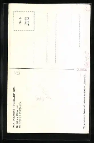 Künstler-AK Ora Pokorny, Podkarp. Rus., Na trhu v Uzhorode