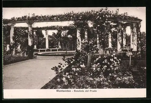 AK Montevideo, Rosaleda del Prado
