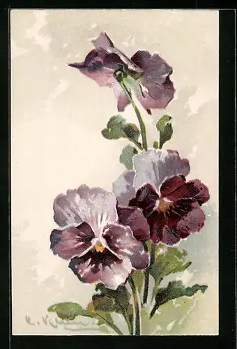 Präge-Künstler-AK Catharina Klein: Blume mit lilafarbenen Blüten