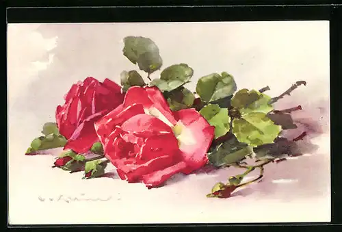 Künstler-AK Catharina Klein: Rote Rosenblüten