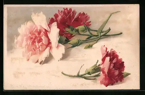 Künstler-AK Catharina Klein: Rote und rosafarbene Blüten in voller Pracht