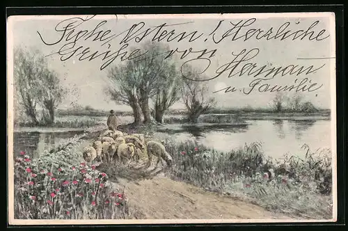 Künstler-AK M. Munk Nr. 134: Schafherde mit Hirte am Flussufer