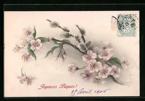 Künstler-AK M. Munk Nr. 260: Ein Zweig Weidenkätzchen mit Frühlingsblüten