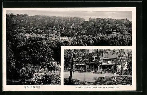 AK Blankenburg / Harz, Hotel - Pension zum Heidelberg, Teufelsmauer, Panorama