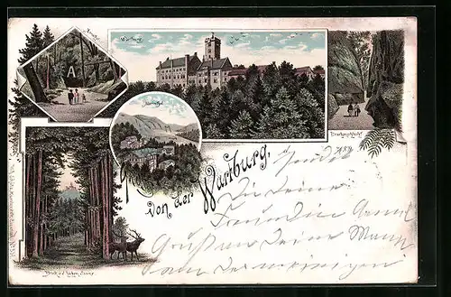 Lithographie Wartburg, Totalansicht, Drachenschlucht, Annathal