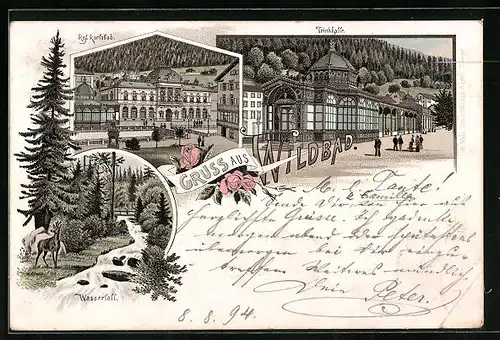 Lithographie Wildbad, Königliches Karlsbad, Trinkhalle, Wasserfall