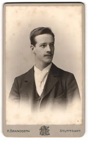 Fotografie H. Brandseph, Stuttgart, Marienstr. 36, Portrait junger charmanter Mann mit Krawatte im Jackett
