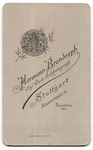 Fotografie H. Brandseph, Stuttgart, Marienstr. 36, Portrait junger charmanter Mann mit Krawatte im Jackett
