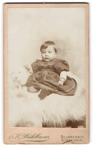 Fotografie K. Mühlbauer, Neubreisach, Portrait niedliches Baby mit Teddybären auf Fell sitzend