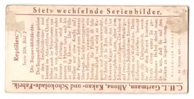 Sammelbild Gartmann Schokolade, Serie: 504, Bild 2, Reptilien, die Suppenschildkröte