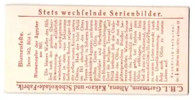 Sammelbild Gartmann Schokolade, Serie: 562, Bild 1, Blumenfeste, Blumenopfer der Ägypter am Nil