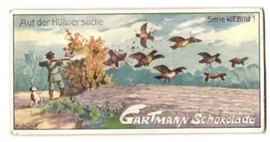 Sammelbild Gartmann Schokolade, Serie: 407, Bild 1, Jagd auf deutsches Federwild, auf der Hühnersuche
