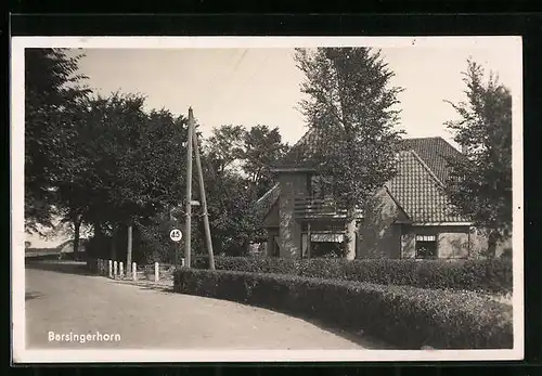 AK Borsingerhorn, Strassenpartie mit Gebäudeansicht