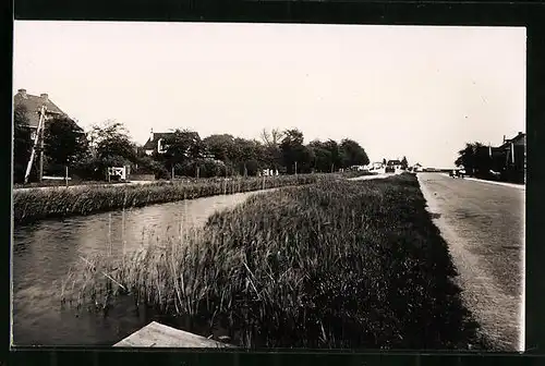 Foto-AK Anna Pavlowna, Uferpartie