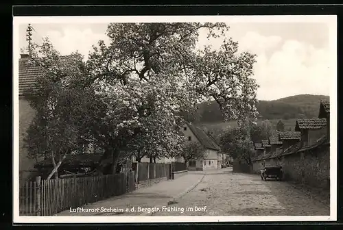 AK Seeheim a. d. Bergstr., Dorfpartie im Frühling