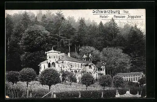 AK Schwarzburg /Thür., Hotel-Pension-Trippstein