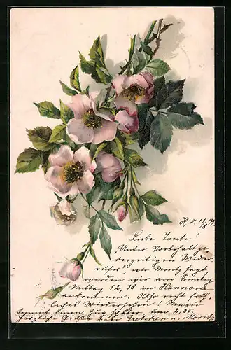 Künstler-AK Theo Stroefer Serie Nr. 21: Zweig mit rosafarbenen Blüten
