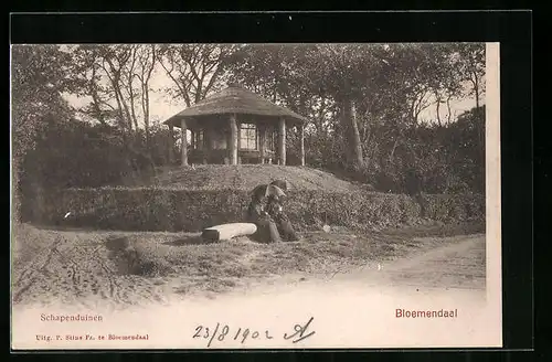 AK Bloemendaal, Schapenduinen