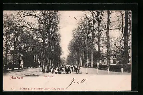 AK Haarlem, De Dreef