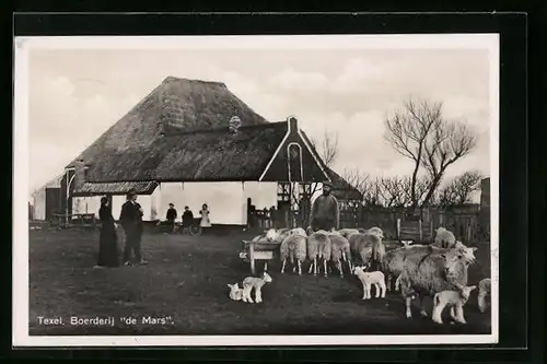 AK Texel, Boerderij de Mars