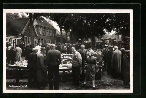 AK Texel, Schapenmarkt