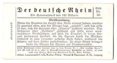 Sammelbild Stollwerck Schokolade, Serie: Der deutsche Rhein, Bild 50, Mostbereitung