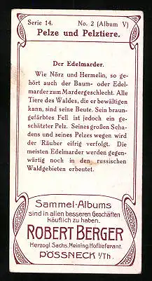 Sammelbild Pössneck i /Th., Robert Berger, Berger Schokolade, Pelze und Pelztiere, Der Edelmarder