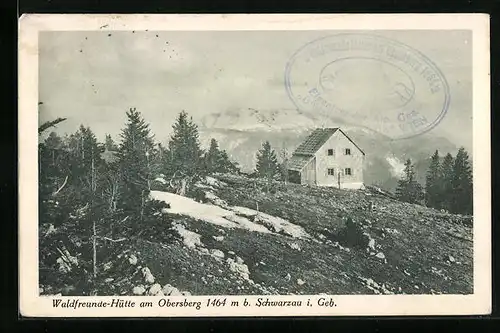 AK Waldfreunde-Hütte, Berghütte am Obersberg b. Schwarzau i. Geb.