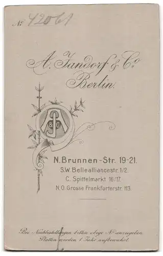 Fotografie A. Zandorf & Co., Berlin, N. Brunnenstrasse 19-21, Bürgerliche in spitzengeschmücktem Kleid