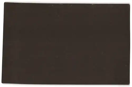 Fotografie M. Frölich, Flensburg, Norderhofenden 9, Bürgerliche Damen in edlen Sonntagskleidern