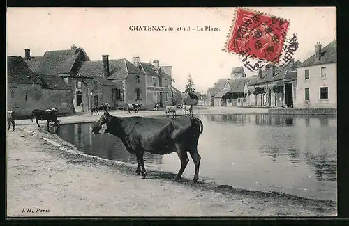 AK Chatenay, La Place