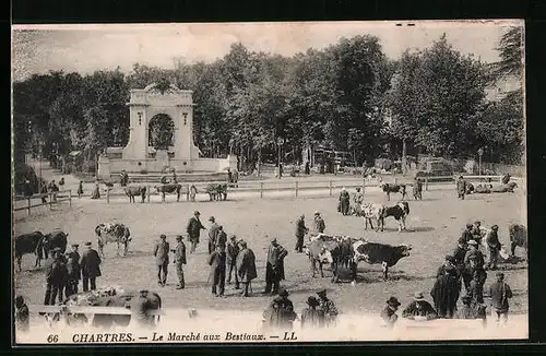 AK Chartres, Le Marché aux Bestiaux