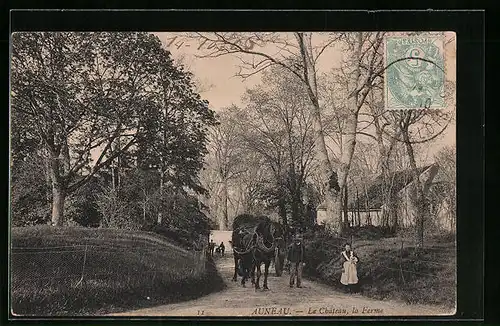 AK Auneau, Le Chateau, la Ferme