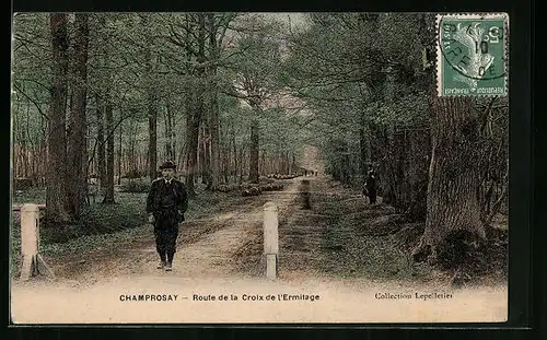 AK Champrosay, Route de la Croix de l`Ermitage