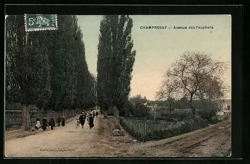 AK Champrosay, Avenue des Peupliers