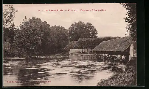 AK La Ferté-Alais, Vue sur l`Esonne á la gatine